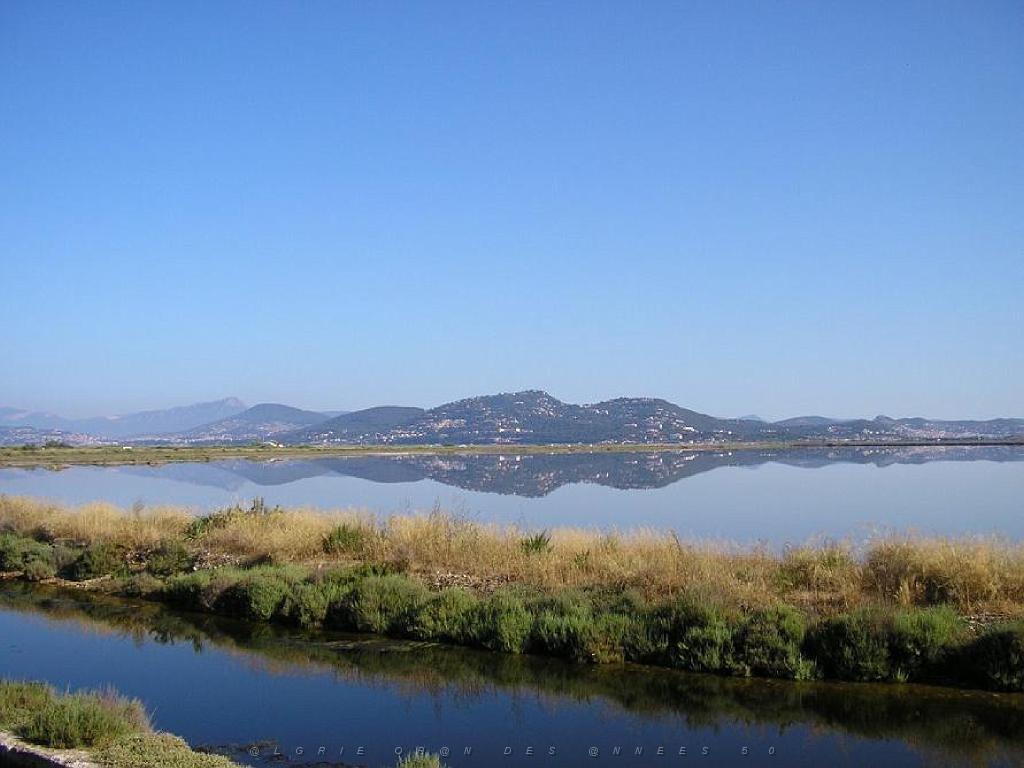183 D18 PRESQU ILE DE GIENS 1_000017.jpg